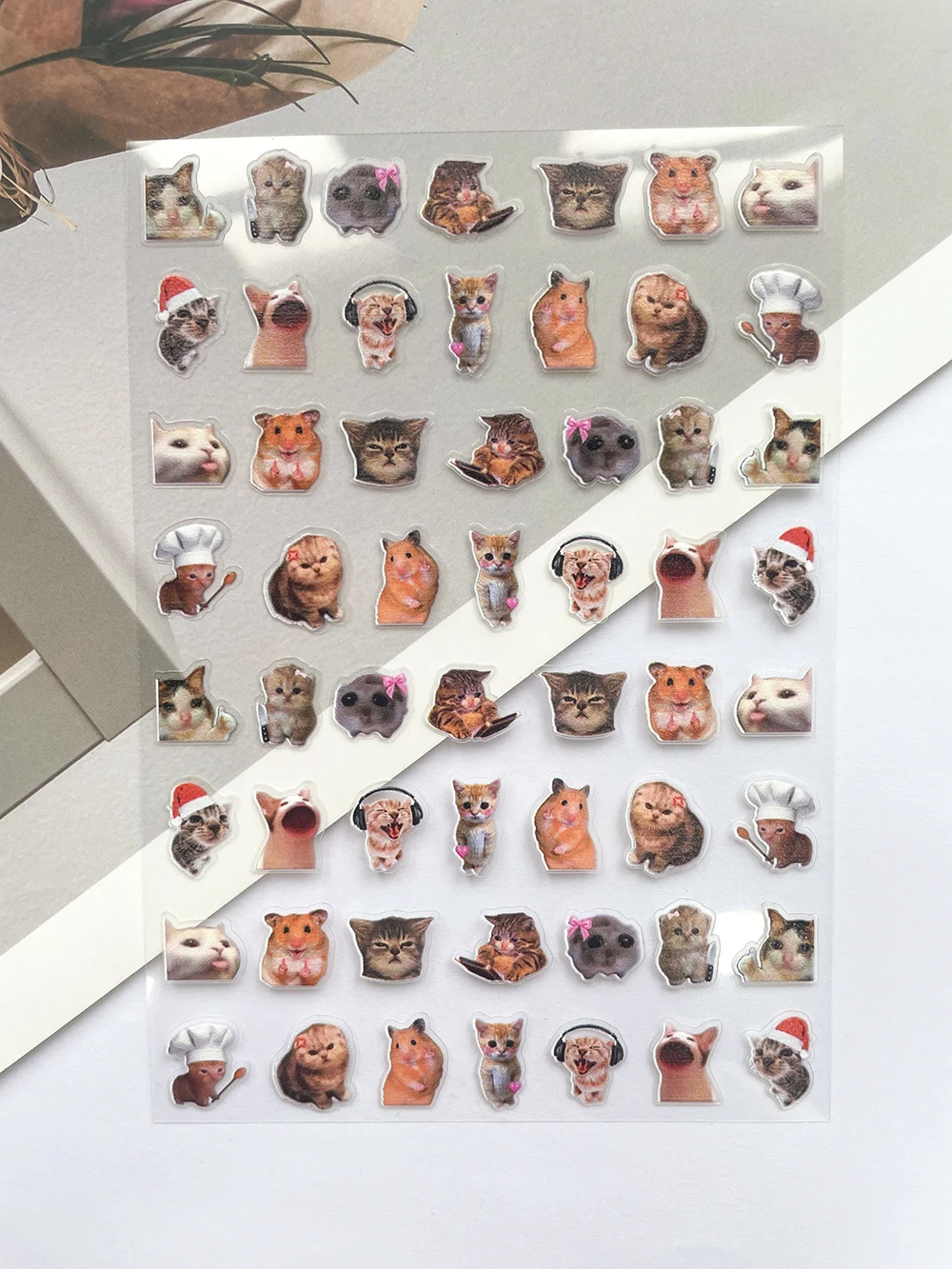 Mini Pvc Grappige Kat Poster G - Nail Tech Accessories recensie en prijs